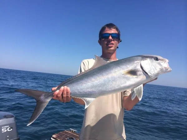 Amberjack Fishing Charters: Tackle Florida’s Reef Donkey