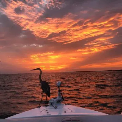 Sunset Cruises for Anna Maria Island with Anna Maria Charters