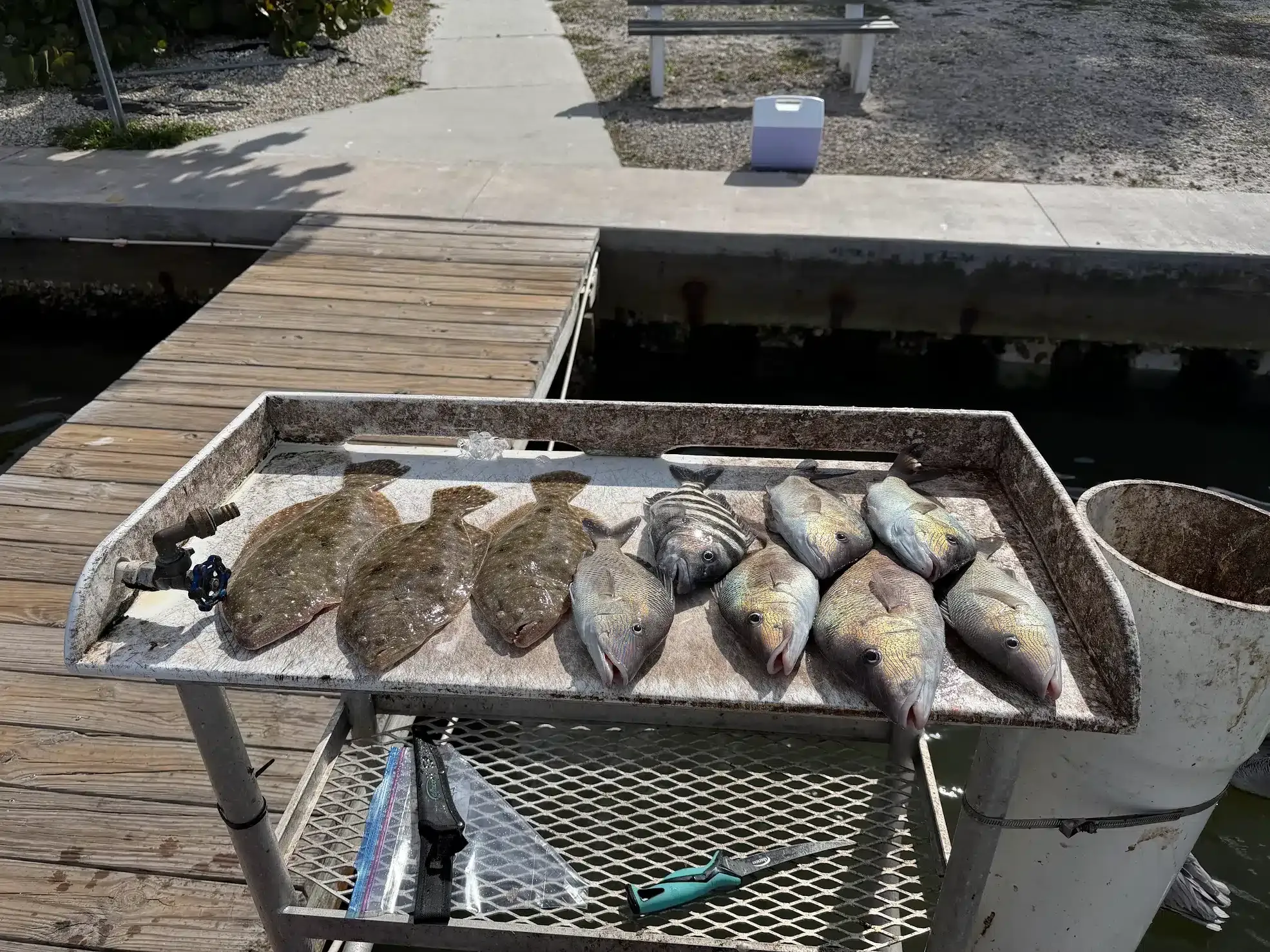 Inshore Nearshore Offshore Fishing Anna Maria Island