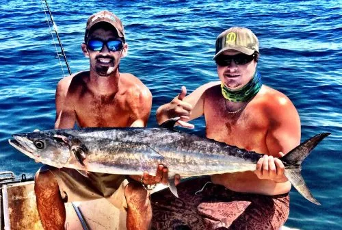 Kingfish in November