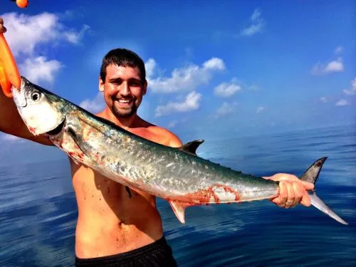Offshore Charters in November