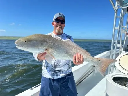 Inshore fishing catch near Anna Maria Island