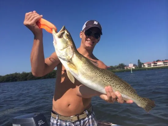 fly fishing Trout