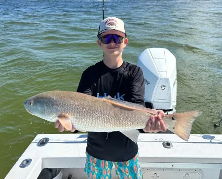 Inshore fishing catch near Anna Maria Island