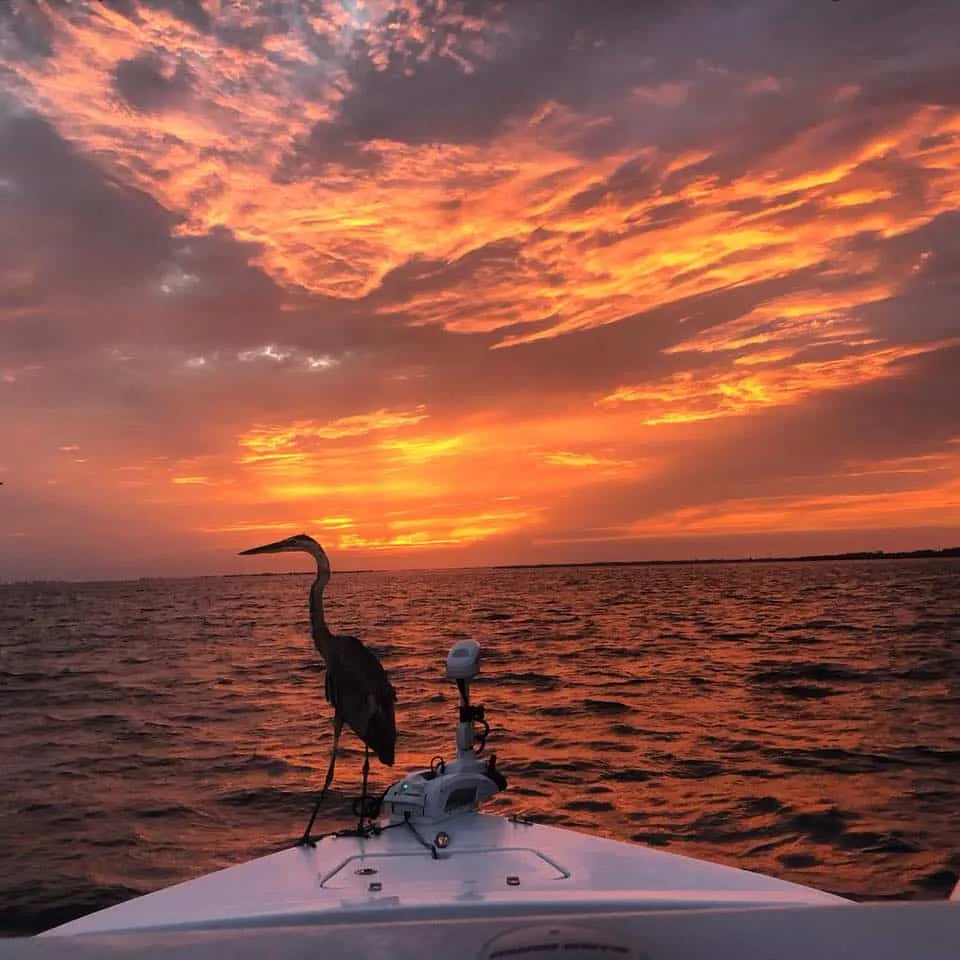 Sunset cruise on the Gulf near Anna Maria Island