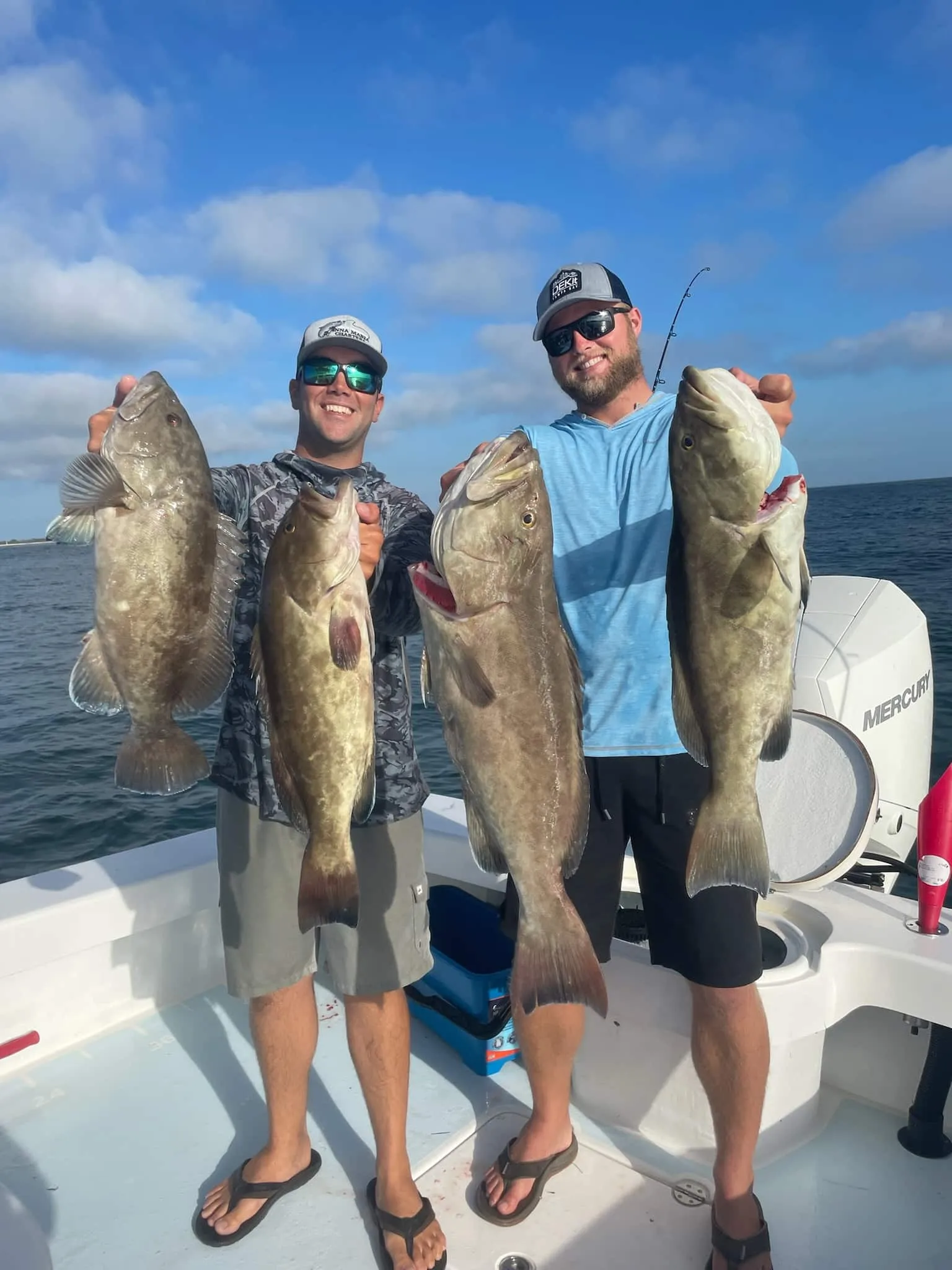 Anglers holding gag groupers aboard an Anna Maria Charters boat