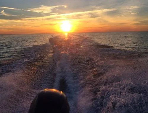 Anna Maria Charters boat on the Gulf at sunset