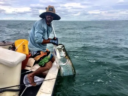 Tarpon Fishing Charters Anna Maria Charters are so Popular – Here’s Why