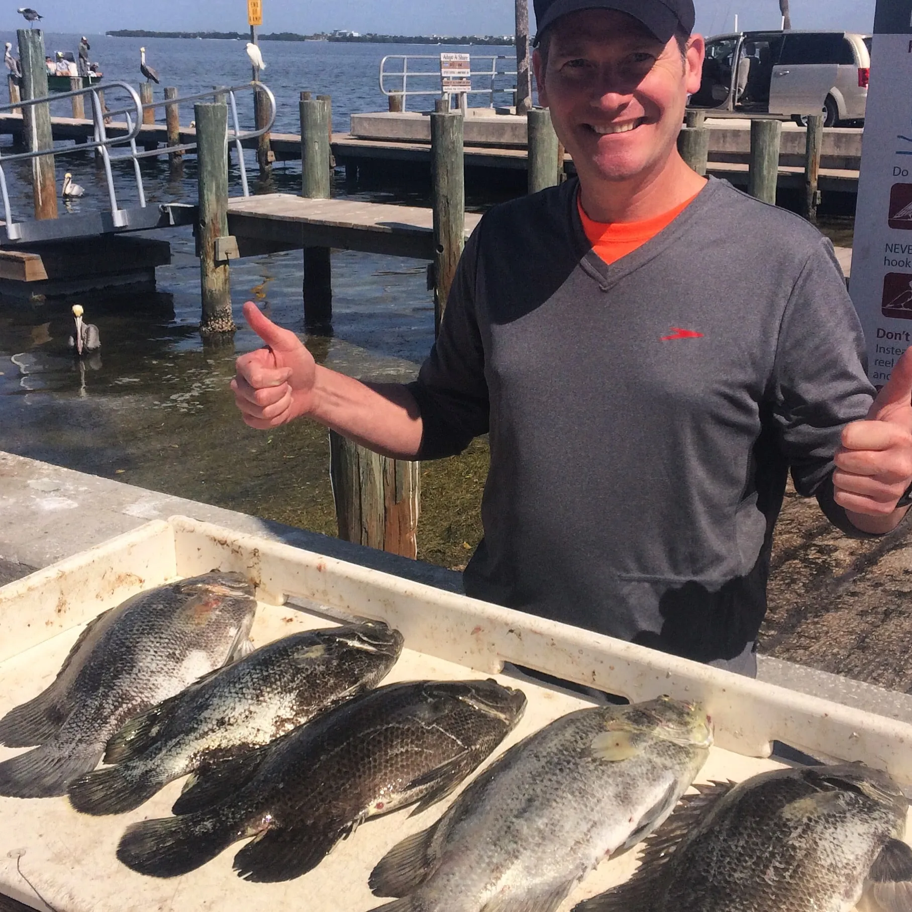 Experience the Thrill of Nearshore Fishing Around Anna Maria Island