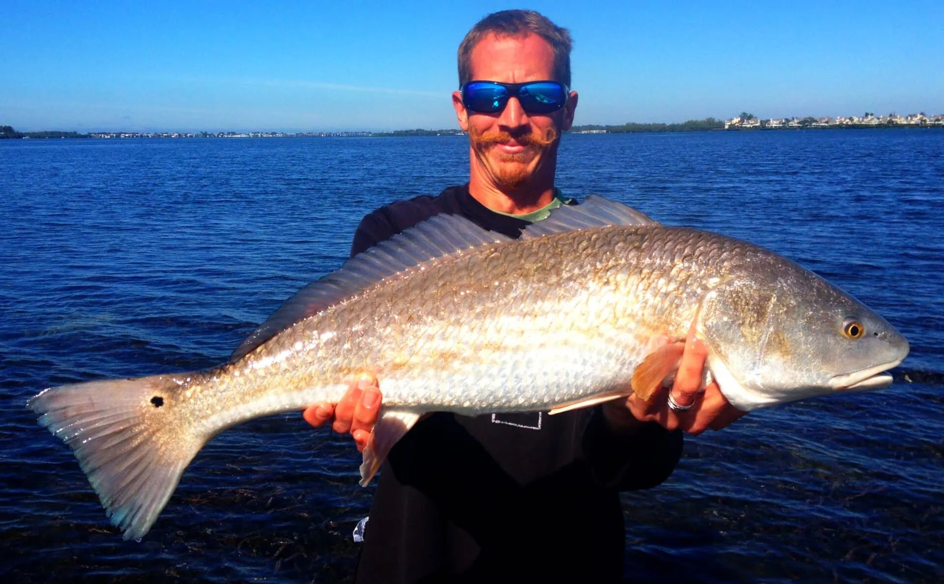 Fly Fishing for Tailing Redfish on the Flats of Tampa Bay