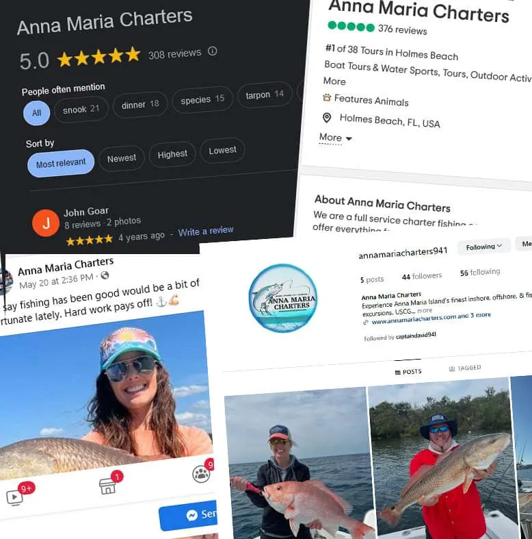 Anna Maria Charters reviews and social media highlights